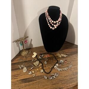 lot of costume jewelry brooches, Earrings (clip & Pierced), & Necklaces Read